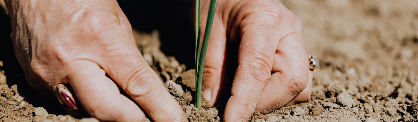 Fertilizers