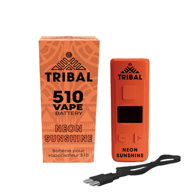 Pro Digital 510 Battery
