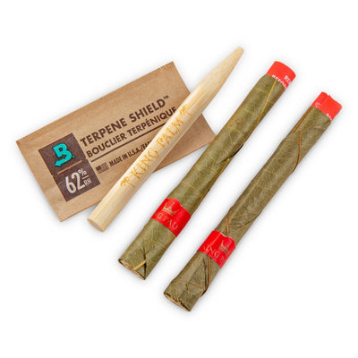Passion Fruit Flavoured Mini Pre-Rolled Cone (2 pack) - Carton of 20